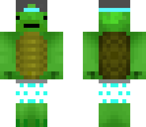 derp turtle