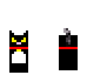cat skin
