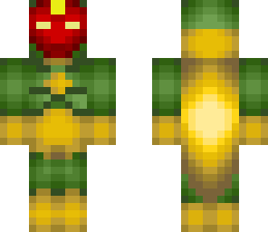 the vision
