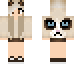 grumpy cat