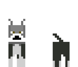 husky