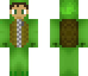 turtle costume