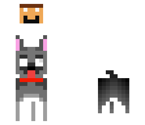 dog-bring