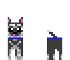 cute husky