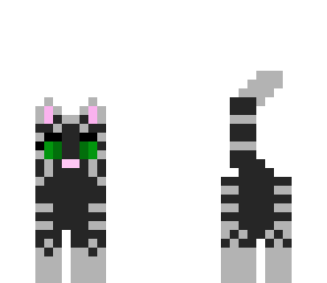 grey and white cat