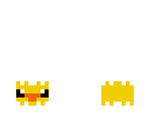 baby duckling