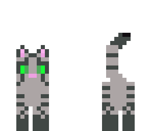 grey cat