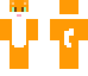 ginger cat