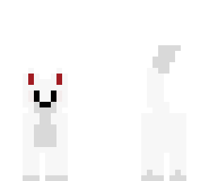 angel white dango cat