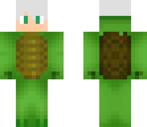 turtle guy
