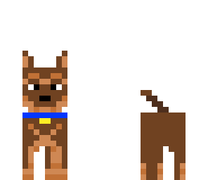 male dog