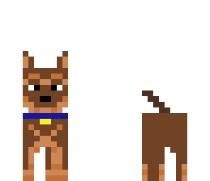 cool_dog