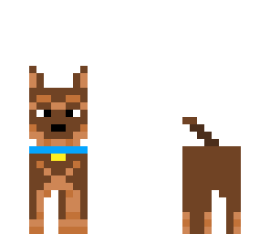 boy dog