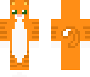 orange kitty