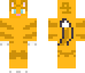 ginger cat