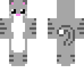 cute gray tabby