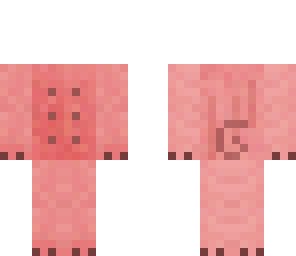 my blank pig canvas