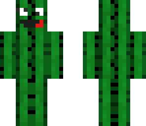 cactus boy