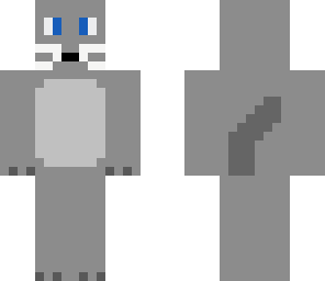 gray cat
