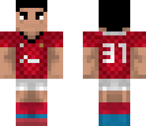 robin van persie