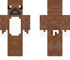 xocolato dog