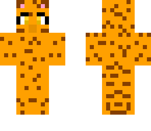 a cat