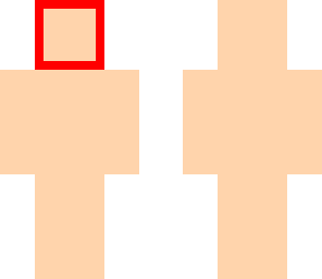 skin base