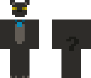 finn el gato