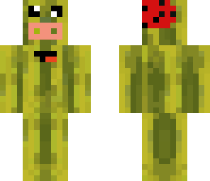 v2