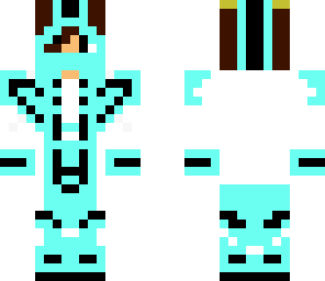 flash skin