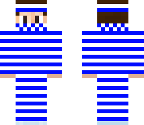 stripe ninja