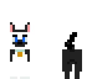 puppy