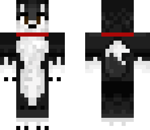 edit of puppy