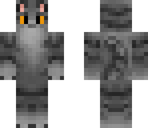 gray kitty