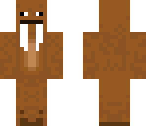walrus