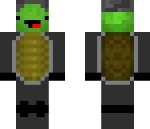 sgt turtle