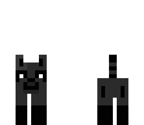 raccoon