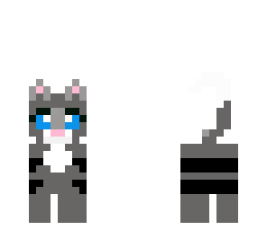 my cat