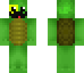 for fancy turtle