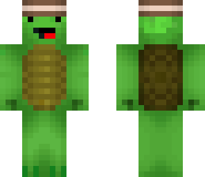 mexican turtle 2