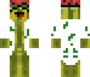 watermelon coat