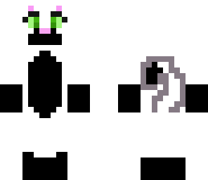 a warrior cat