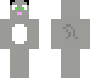 gray cat