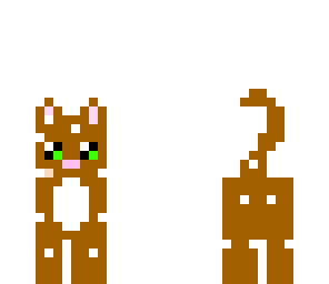 stray tabby