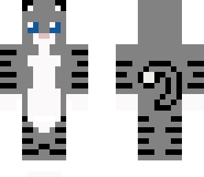 gray kitty