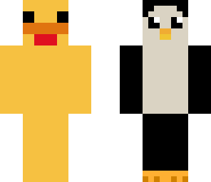 pinguipato
