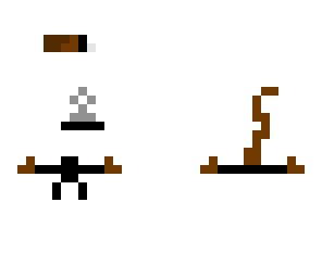 monkey ninja