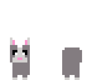 grey kitty cat