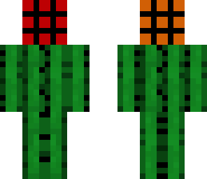 cactus with rubik's cube head