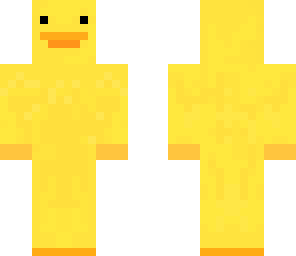 duck skin